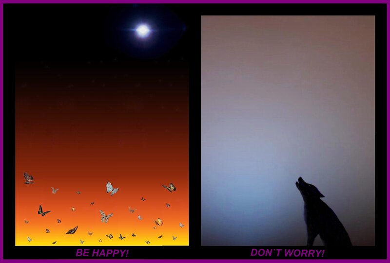 Silhouette of a Wolf — Orange