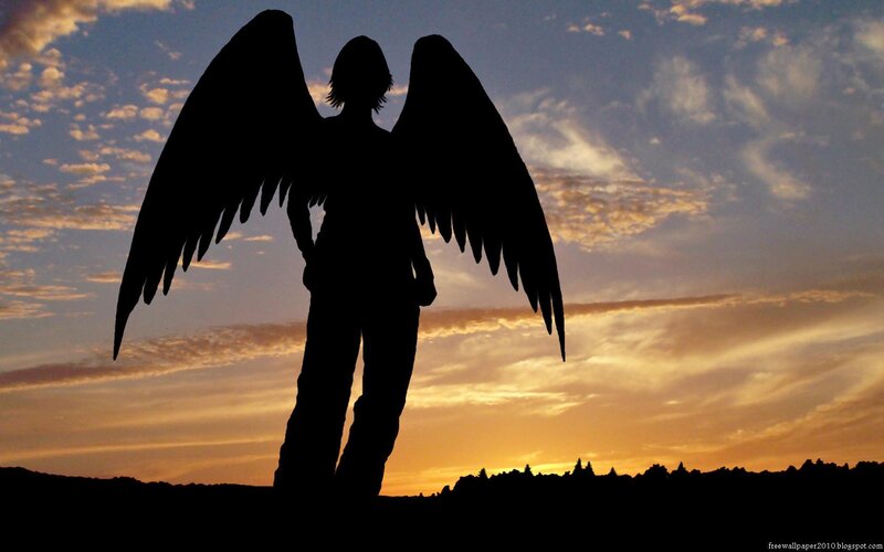 silhouette of angel at sunset