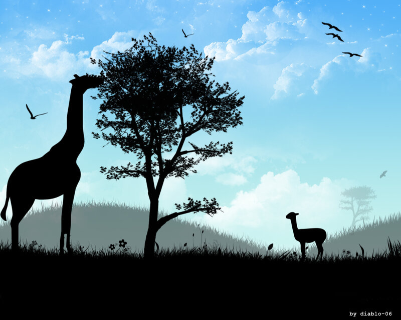 Silhouette of animals in a field