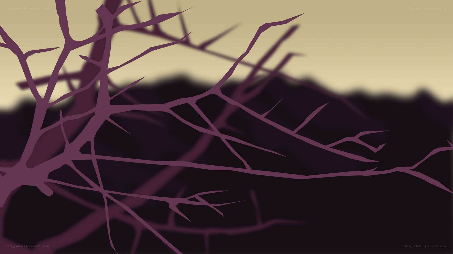 silhouette of bare branches