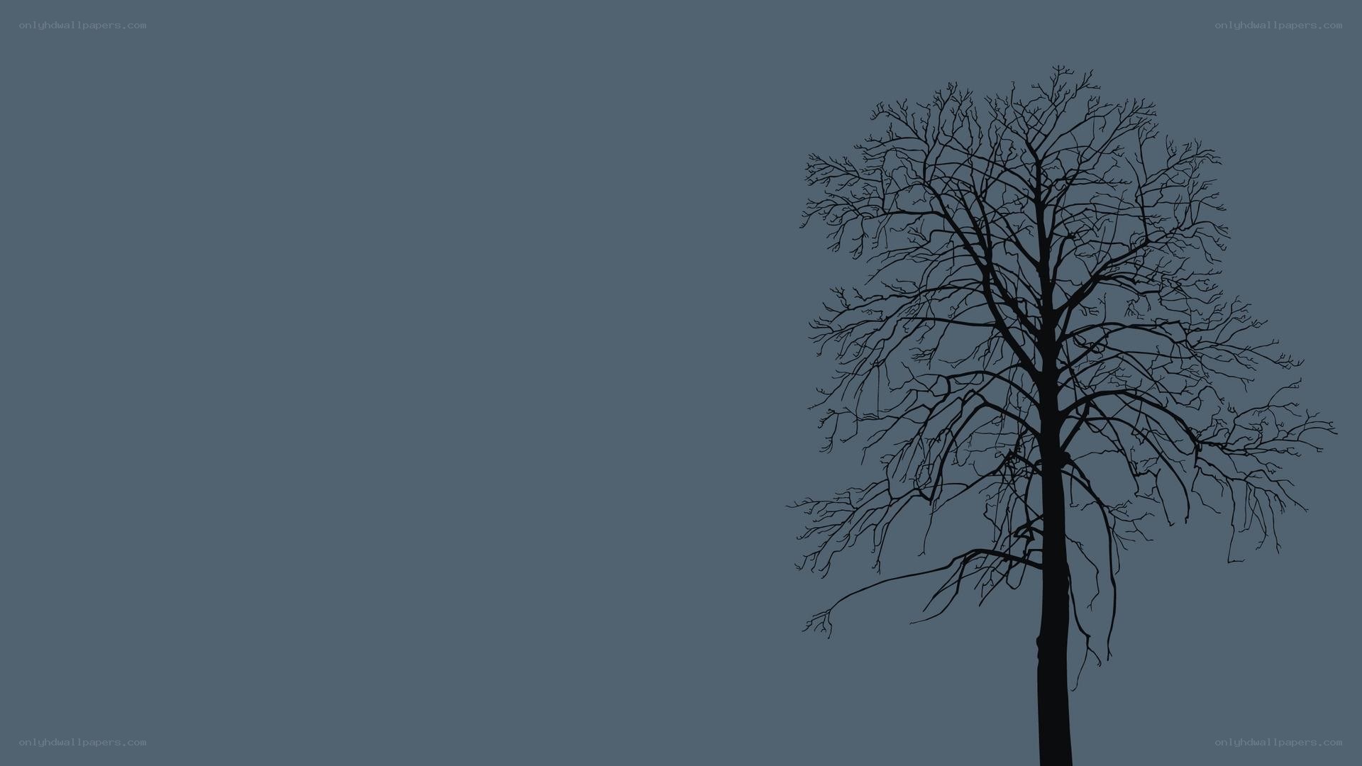 silhouette of bare tree