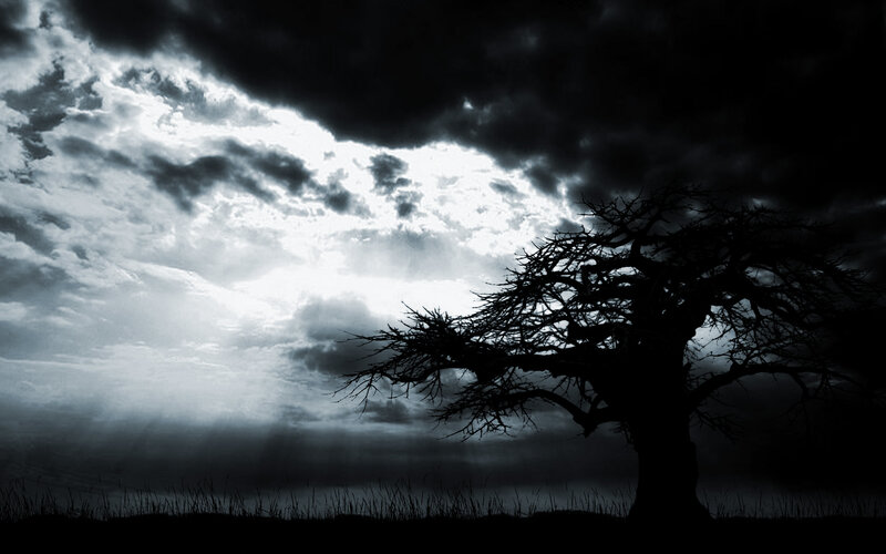 Silhouette of Bare Tree — Black, Dramatic, Night
