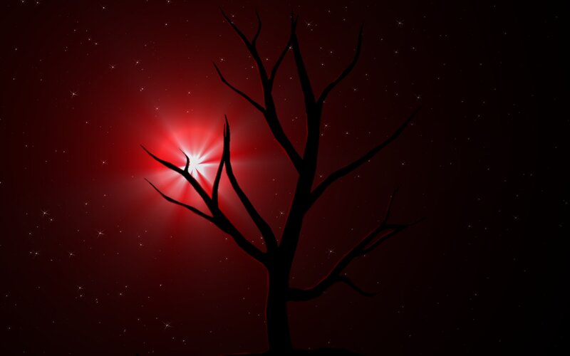 Silhouette of Bare Tree — Black, Dramatic