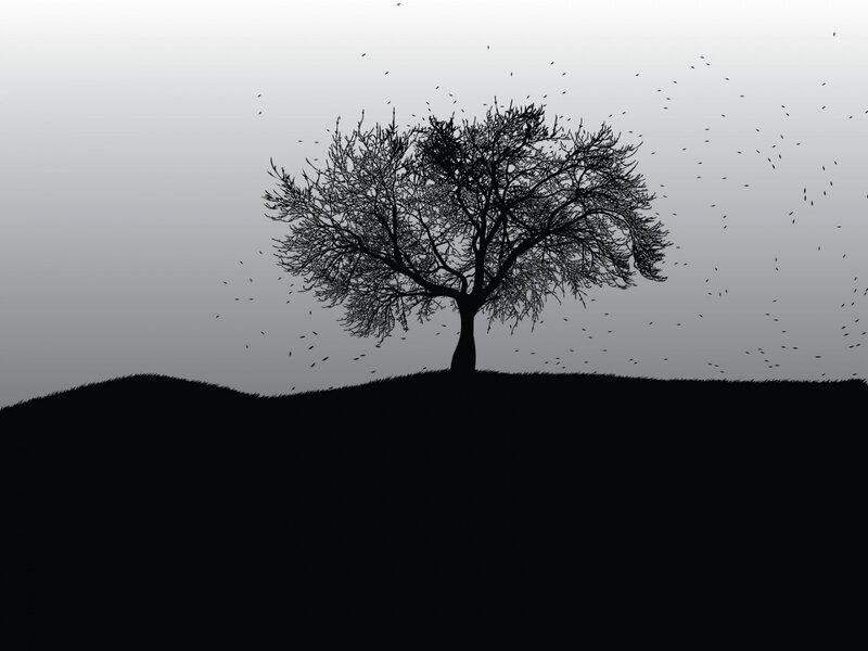 Silhouette of Bare Tree — Black, Somber, Autumn