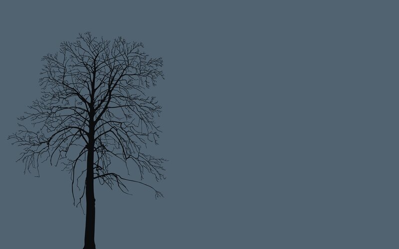 Silhouette of Bare Tree — Black, Somber, Minimalist, Sky