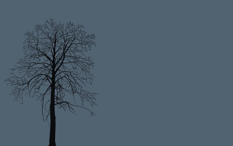 Silhouette of Bare Tree — Black, Somber, Minimalist