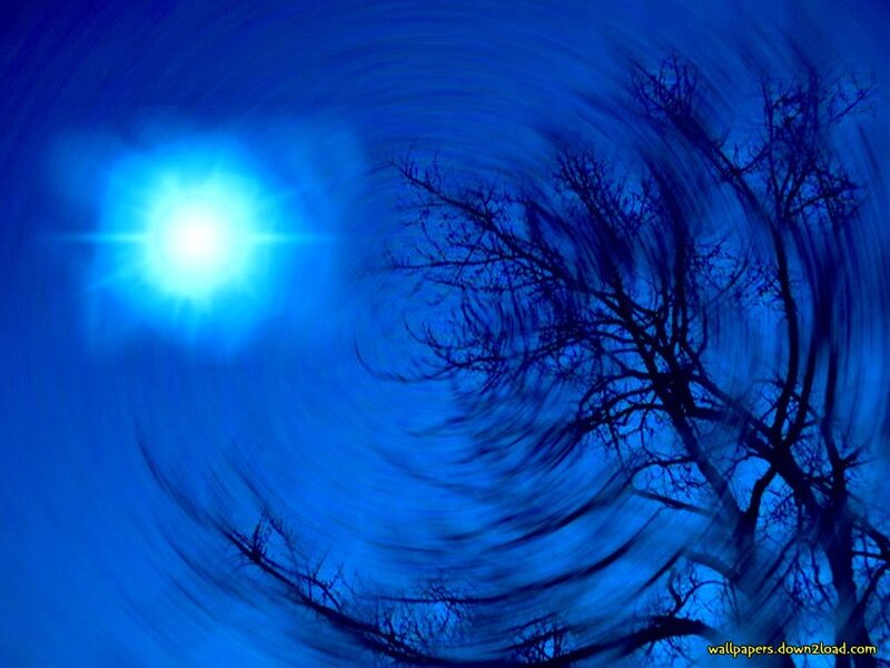 Silhouette of Bare Tree — Blue, Dramatic, Night, Digital Art