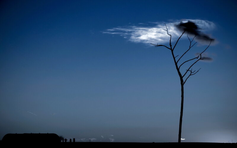Silhouette of Bare Tree — Blue, Dramatic, Night, Photograph, Clouds