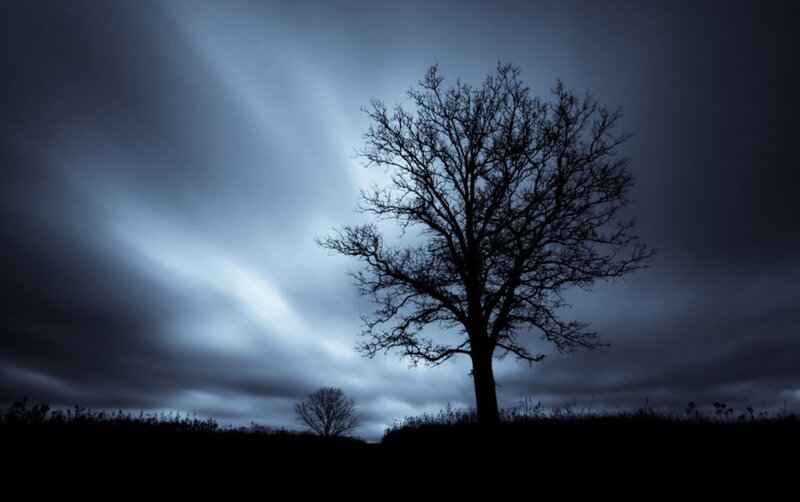 Silhouette of Bare Tree — Blue, Dramatic, Night, Photograph, Sky, Clouds
