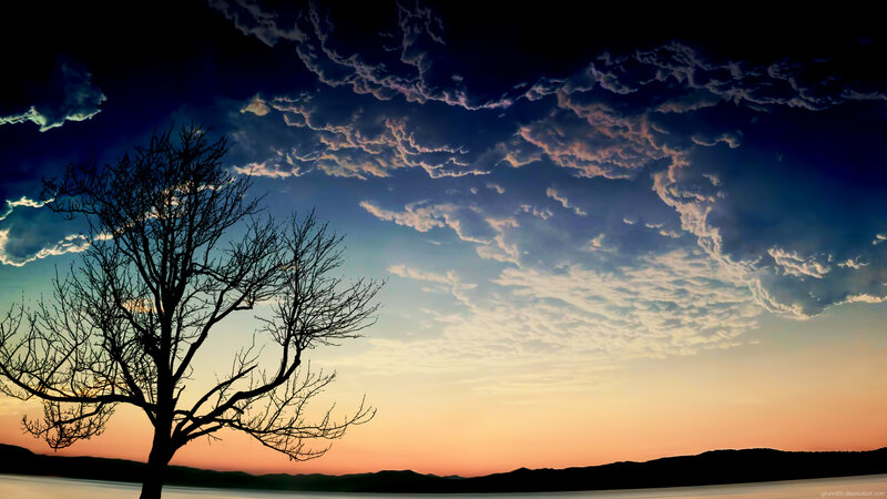 Silhouette of Bare Tree — Blue, Dramatic, Sunset, Photograph, Clouds, Sky