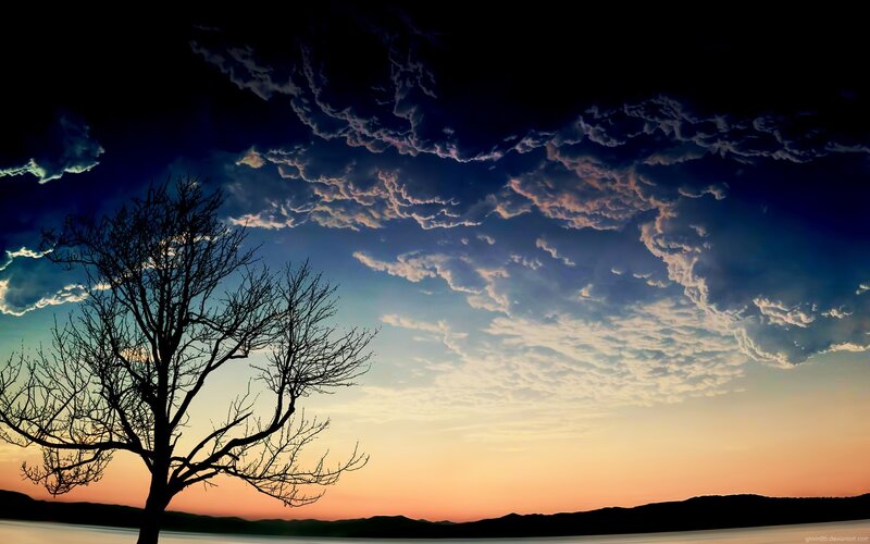 Silhouette of Bare Tree — Blue, Dramatic, Sunset, Photograph, Clouds, Sky, Water