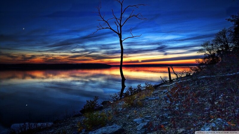 Silhouette of Bare Tree — Blue, Dramatic, Sunset, Photograph, Lake