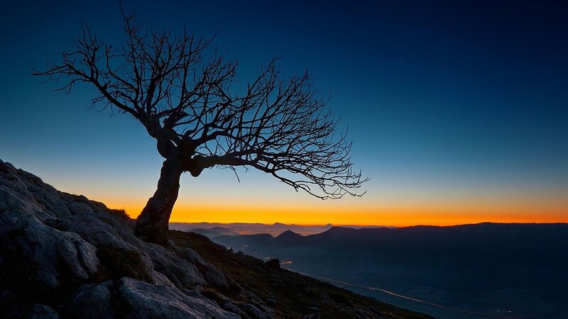 Silhouette of Bare Tree — Blue, Dramatic, Sunset, Photograph, Mountain
