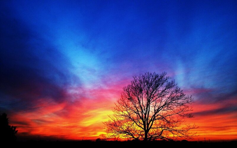 Silhouette of Bare Tree — Blue, Dramatic, Sunset, Photograph, Sky, Clouds