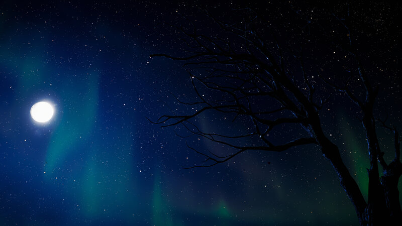 Silhouette of Bare Tree — Blue, Serene, Night, Digital Art, Moon, Stars