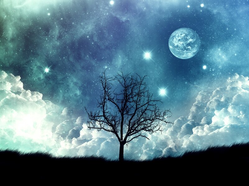 Silhouette of Bare Tree — Blue, Serene