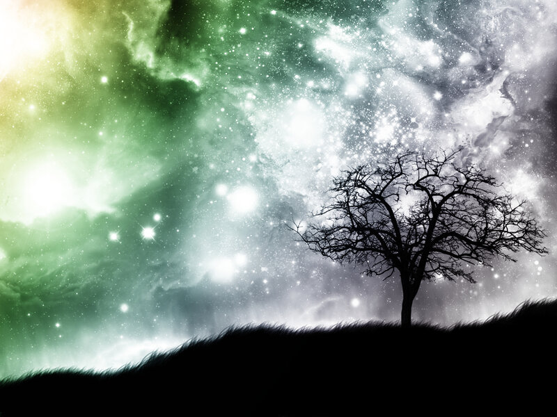 Silhouette of Bare Tree — Green