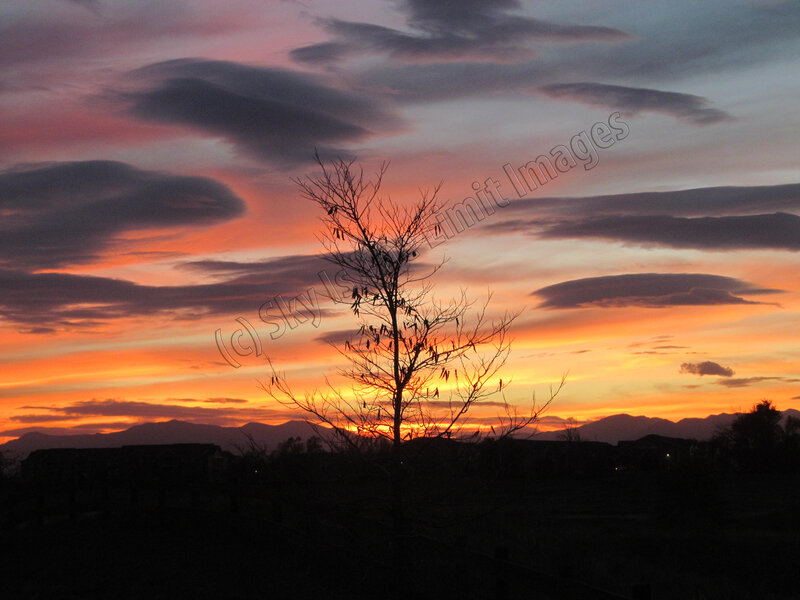 Silhouette of Bare Tree — Orange, Dramatic, Sunset, Photograph, Clouds, Mountains