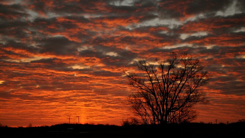 Silhouette of Bare Tree — Orange, Dramatic, Sunset, Photograph, Clouds, Sky, Power Lines