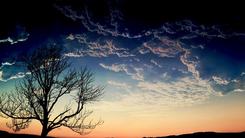 Silhouette of Bare Tree — Orange, Dramatic, Sunset, Photograph, Clouds, Sky