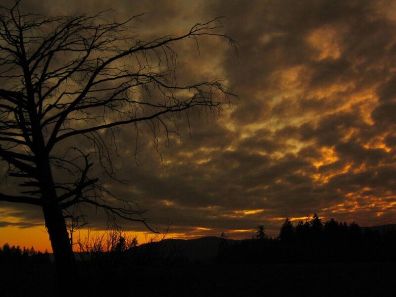 Silhouette of Bare Tree — Orange, Dramatic, Sunset, Photograph, Clouds