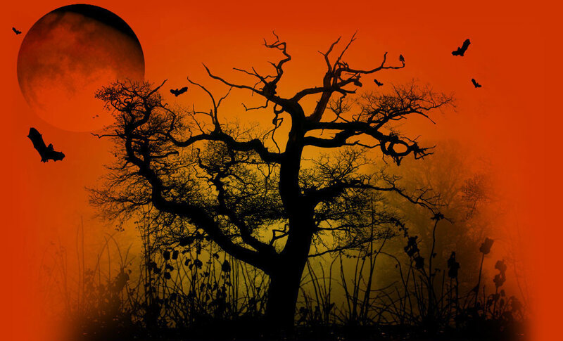 Silhouette of Bare Tree — Orange, Eerie