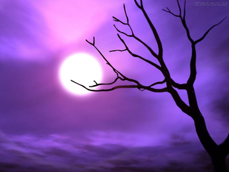 Silhouette of Bare Tree — Purple, Dramatic, Night, Digital Art, Moon, Clouds
