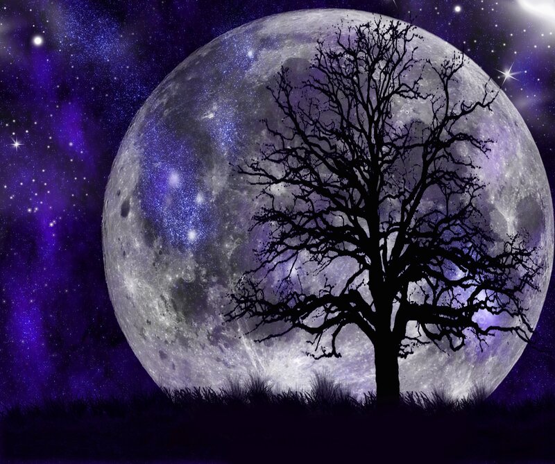 Silhouette of Bare Tree — Purple, Dramatic, Night, Digital Art, Moon, Stars, Grass