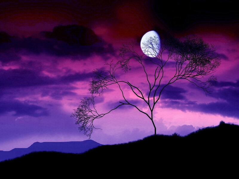 Silhouette of Bare Tree — Purple, Dramatic, Night, Digital Art