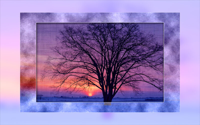 Silhouette of Bare Tree — Purple, Serene, Sunset, Photograph, Sky