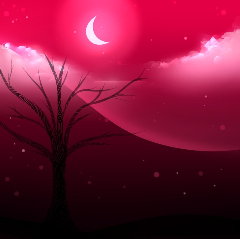 Silhouette of Bare Tree — Red, Dramatic, Night