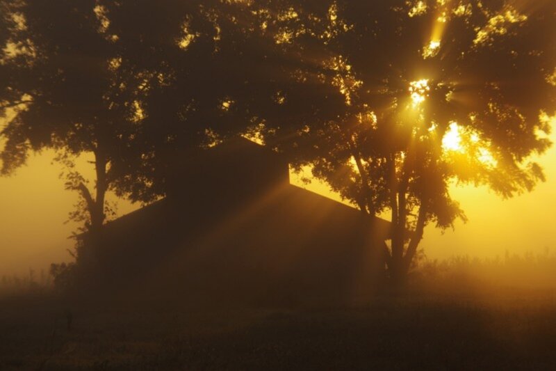 Silhouette of Barn and Trees