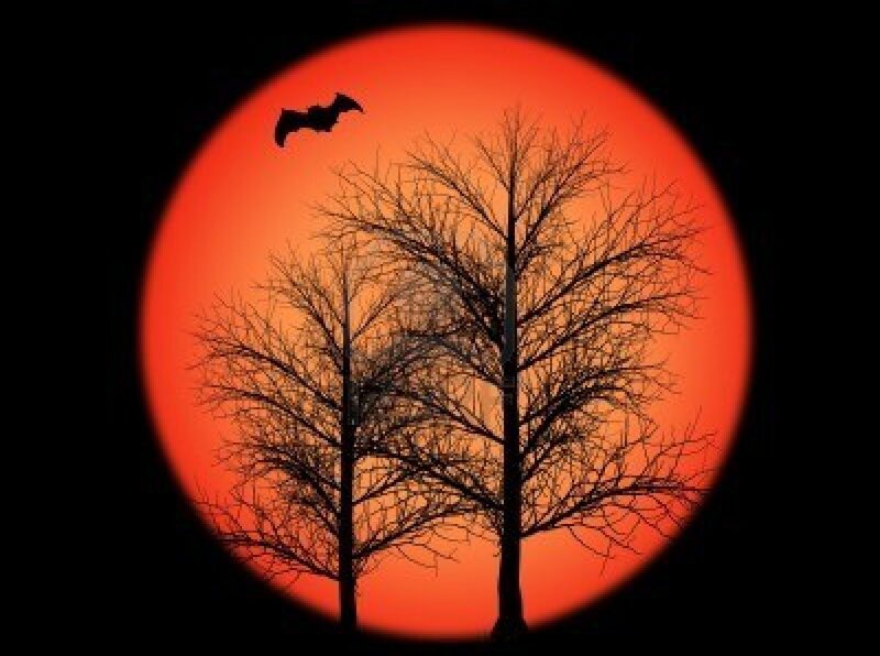 Silhouette of Bats and Trees