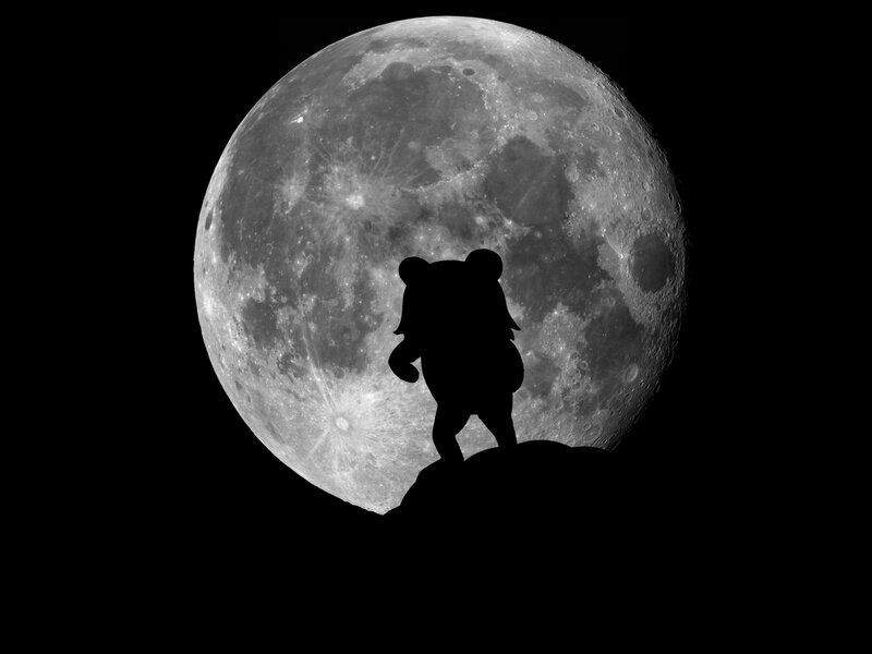 Silhouette of bear on moon