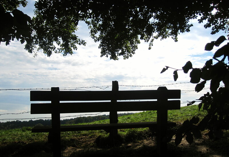 Silhouette of Bench — Green