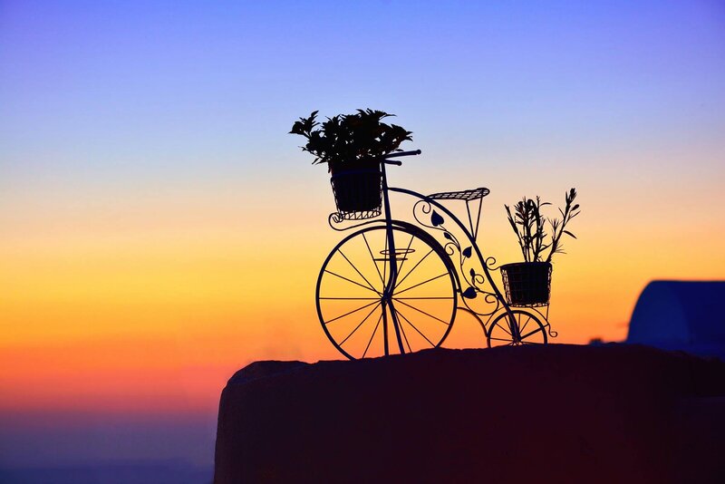 Silhouette of Bicycle with Plants