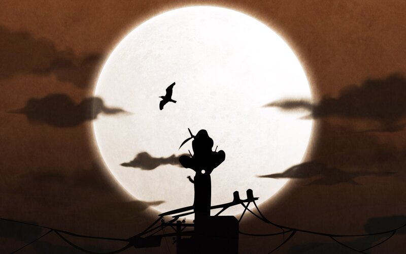 Silhouette of Bird and Figure