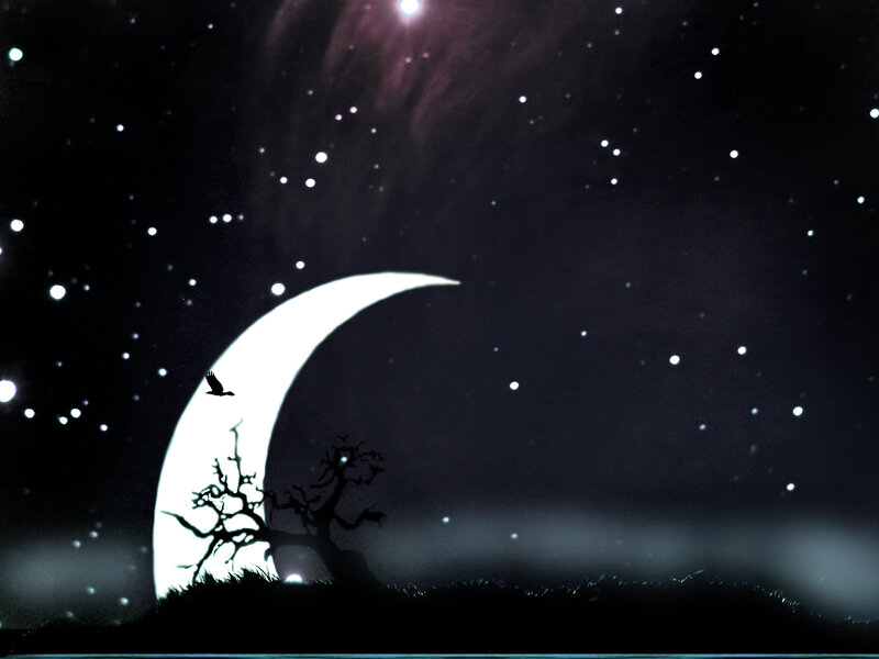 Silhouette of Bird and Tree — Black