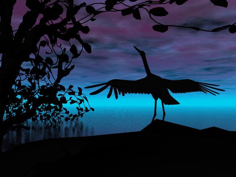 Silhouette of bird at dusk