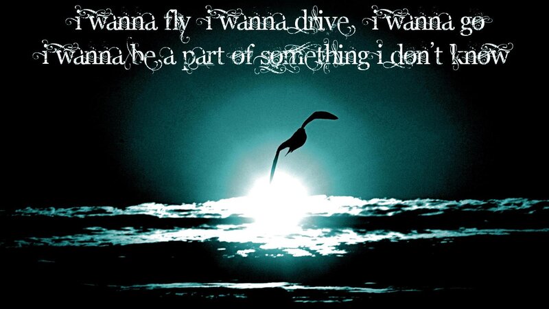 Silhouette of Bird Flying — Black, Dramatic