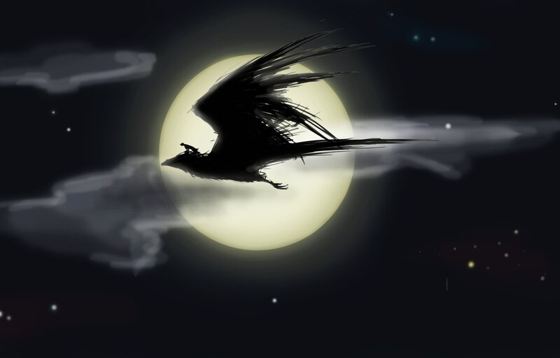 Silhouette of Bird Flying — Black