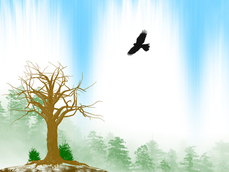 Silhouette of Bird Flying — Blue, Serene