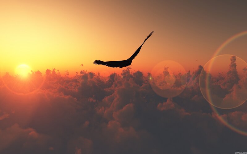 Silhouette of Bird Flying — Orange, Serene, Sunset, Digital Art, Sun, Clouds