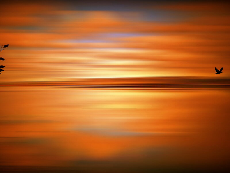 Silhouette of Bird Flying — Orange, Serene, Sunset, Digital Art