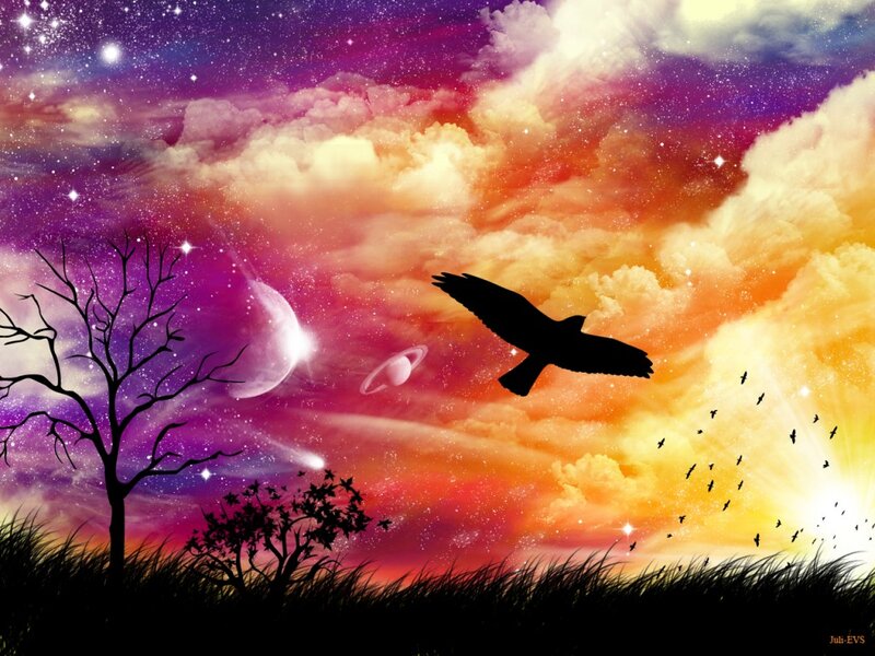 Silhouette of Bird Flying — Purple, Dramatic