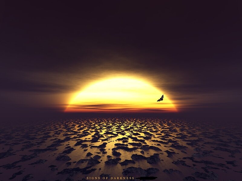 Silhouette of Bird Flying — Yellow, Dramatic, Sunset, Digital Art