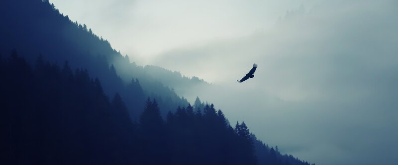 Silhouette of Bird in Flight — Blue, Serene, Photograph, Mountain