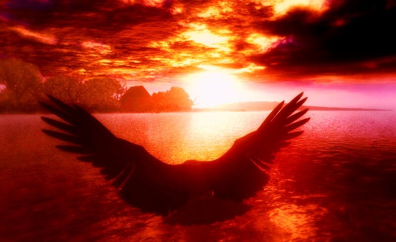Silhouette of Bird in Flight — Red