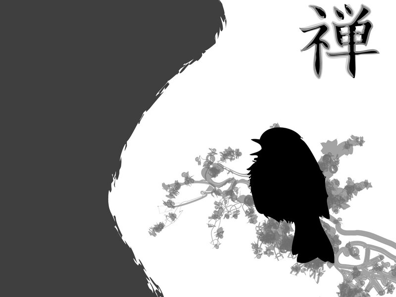 Silhouette of bird on branch