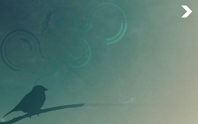 Silhouette of Bird on Branch — Teal